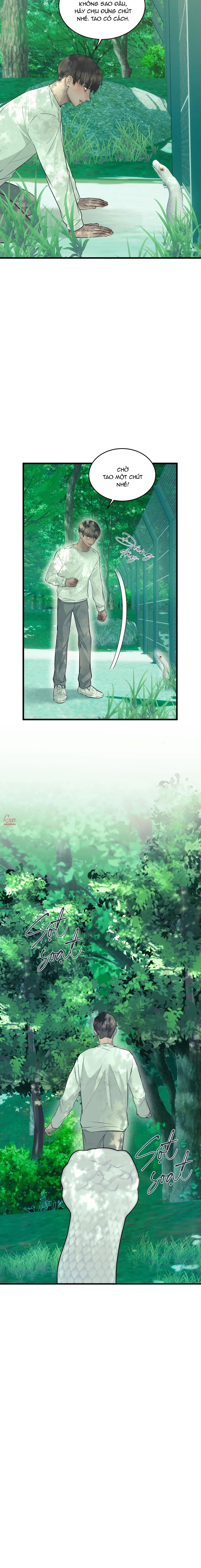 Đọc truyện ÂN NHÂN CỦA RẮN - Chapter 22