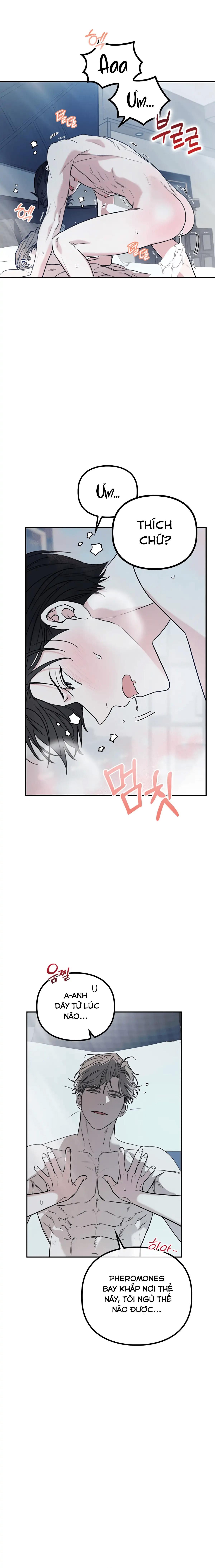 Đọc truyện Non-refundable Alpha [Hoàn] - Chapter 3