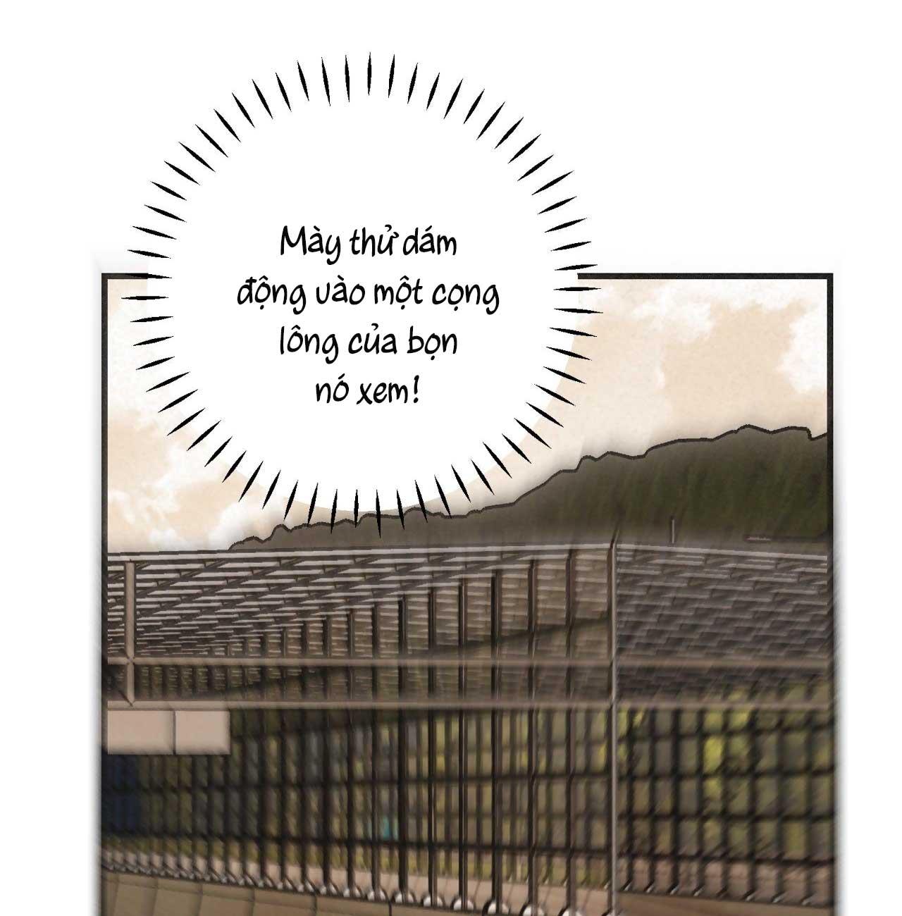 Đọc truyện BĂNG ĐẢNG SAMGEORI - Chapter 28