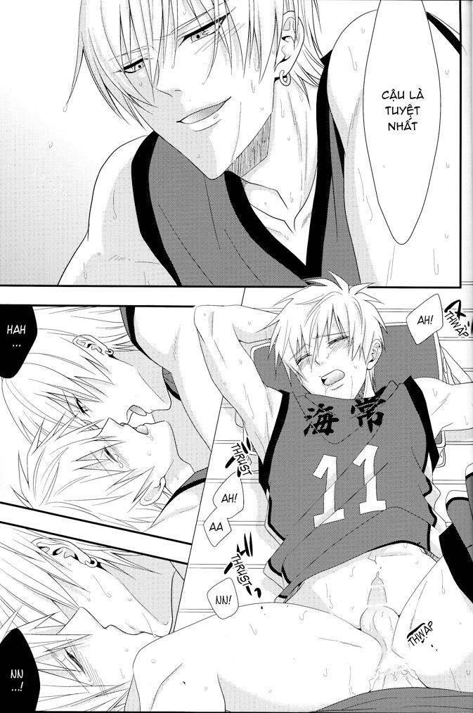 Đọc truyện Doujinshi của Kuroko no basket ball - Chapter 2