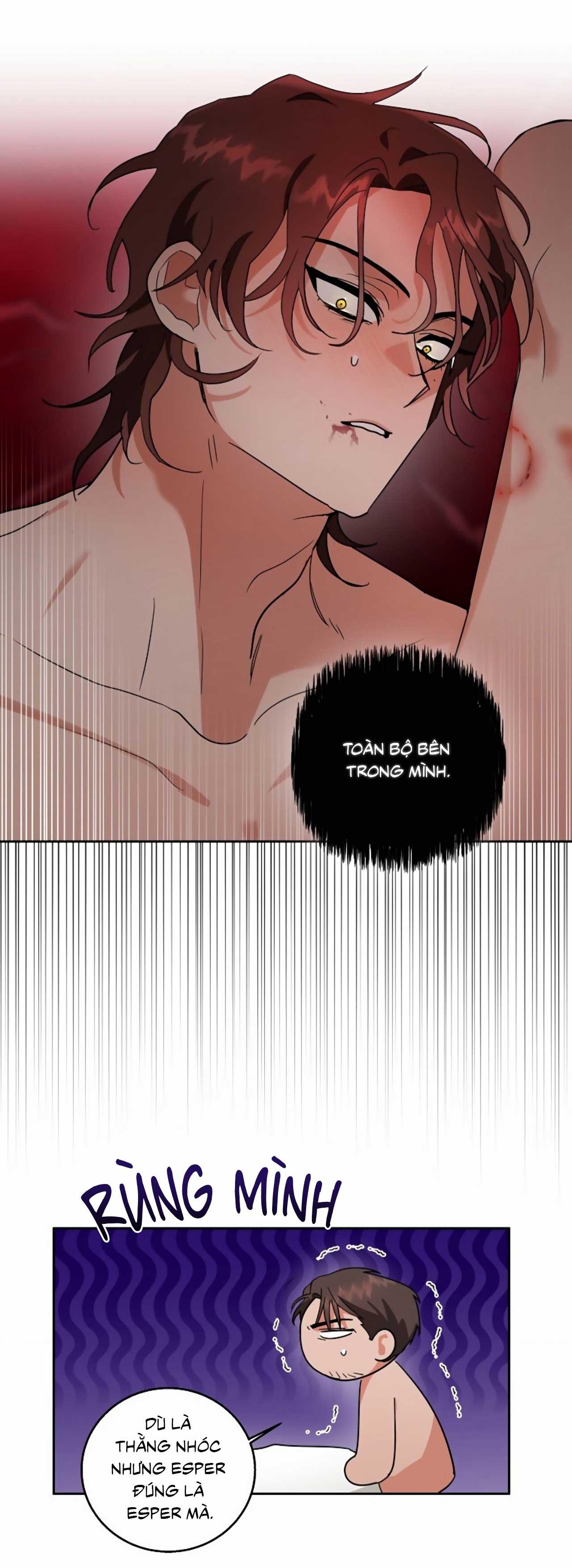 Đọc truyện SÓI GIÀ VÀ CÁO NHỎ - Chapter 2