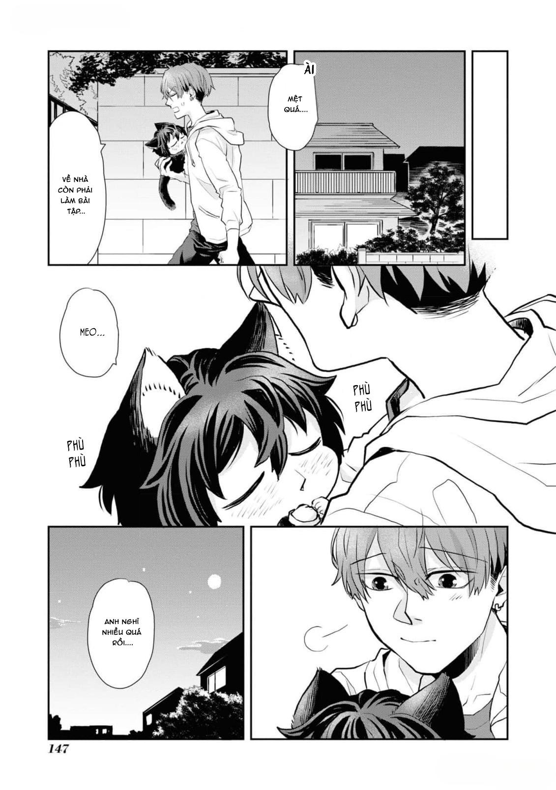 Đọc truyện Chú mèo đẹp trai muốn được Haruta nuôi dưỡng - Chapter 8