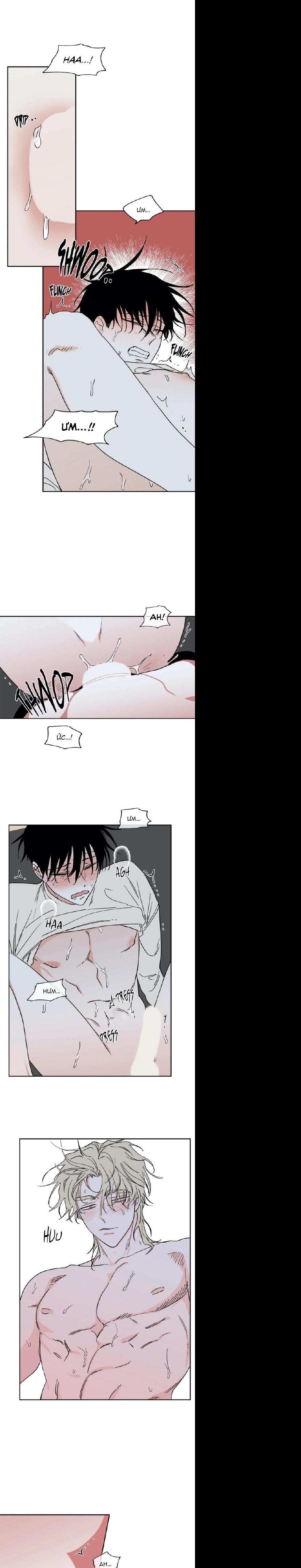 Đọc truyện Thủy triều thấp lúc chạng vạng - Chapter 13