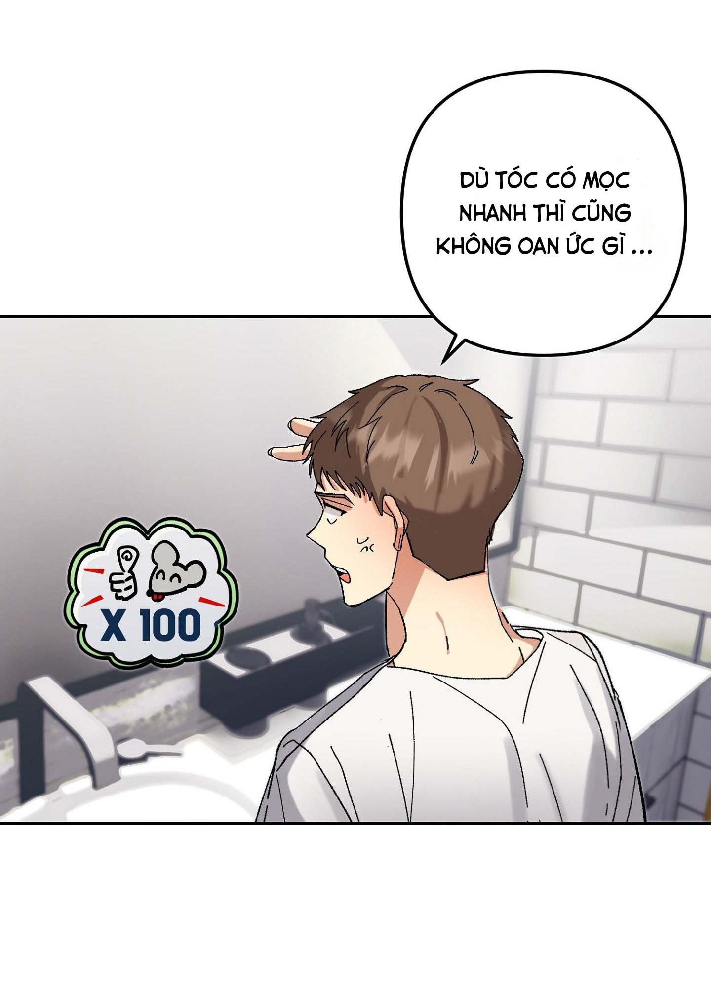 Đọc truyện (END )SỐNG SÓT TRONG RỪNG VỚI NGƯỜI YÊU CŨ - Chapter 1
