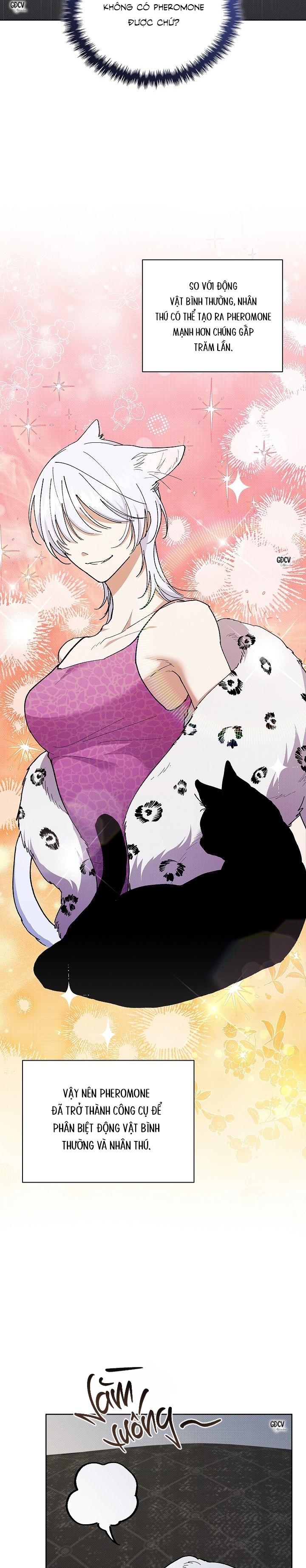 Đọc truyện ĐỪNG CHẠM VÀO CÚN CON CỦA TÔI - Chapter 4