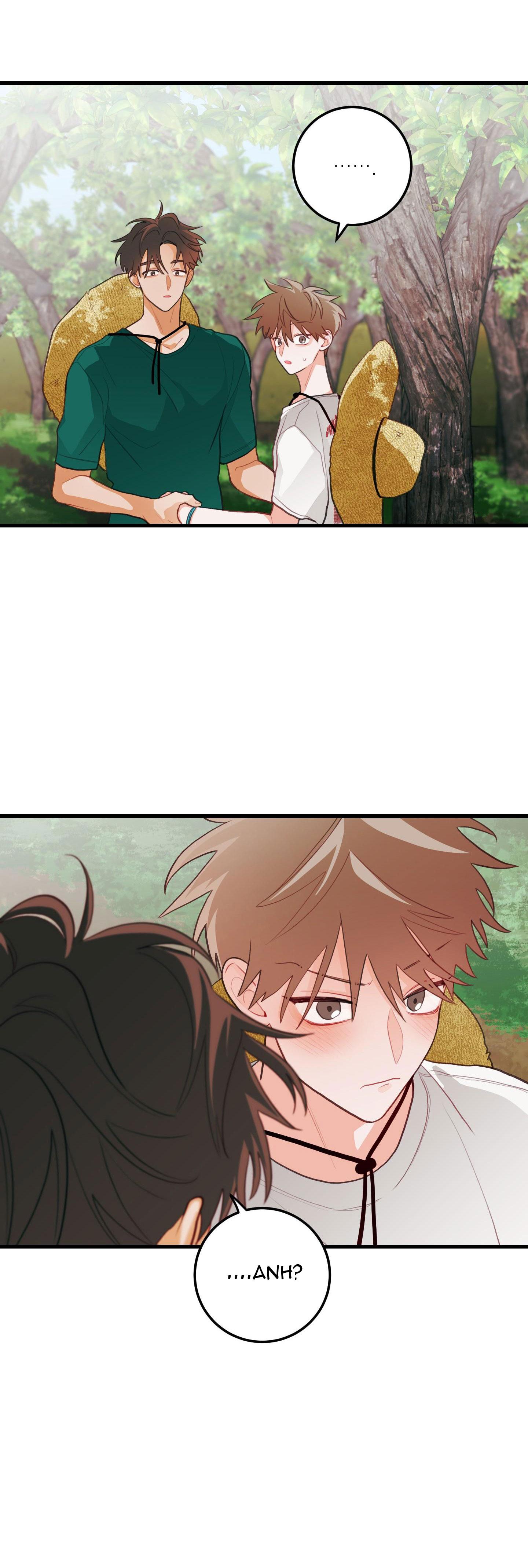 Đọc truyện CHUYỆN TÌNH HOA LÊ NỞ - Chapter 35