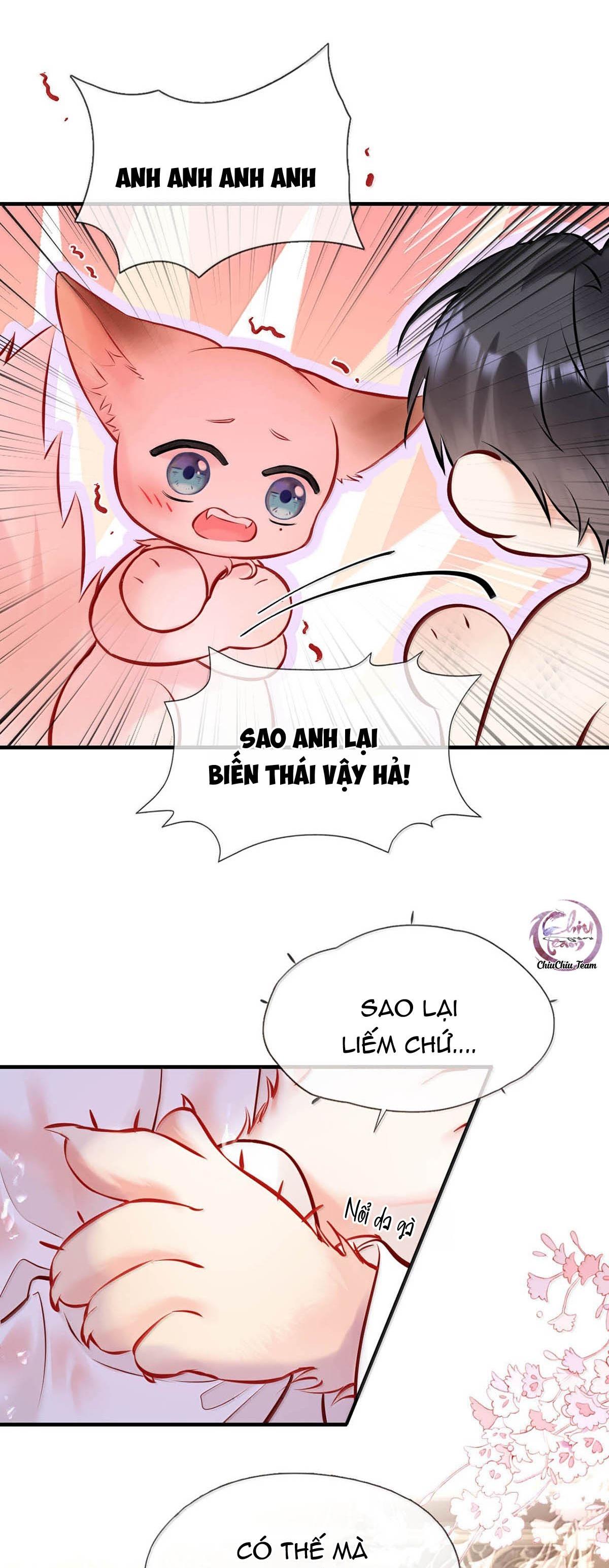 Đọc truyện ĐỐI TƯỢNG CÔNG LƯỢC! THIẾT LẬP TÍNH CÁCH CỦA ANH BỊ MÉO MÓ RỒI! - Chapter 24