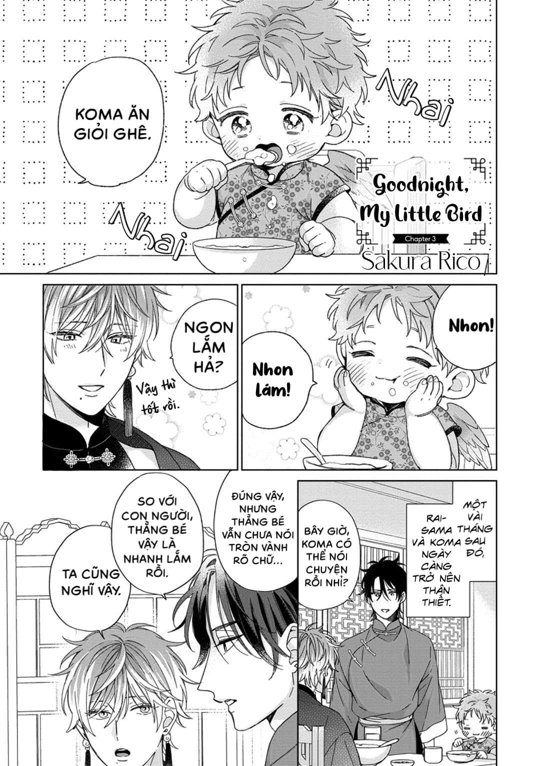 Đọc truyện Ngủ ngon nhé, chú chim nhỏ của tôi - Chapter 3