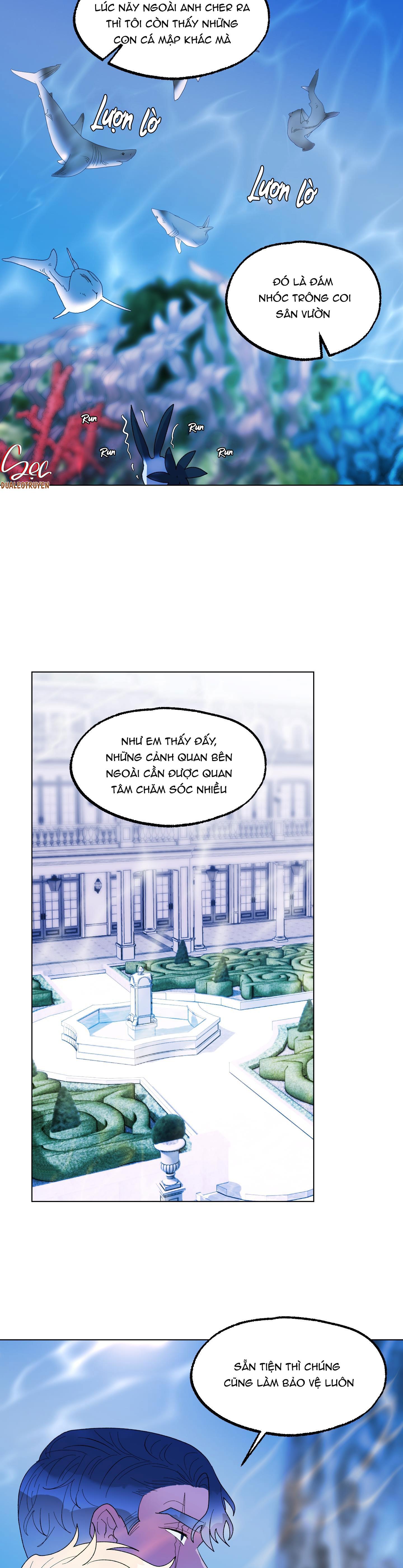 Đọc truyện CÁ MẬP VÀ CÔ DÂU THỎ - Chapter 14