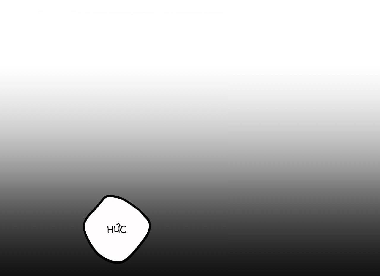 Đọc truyện  Gấu Teddy thân yêu - Chapter 2