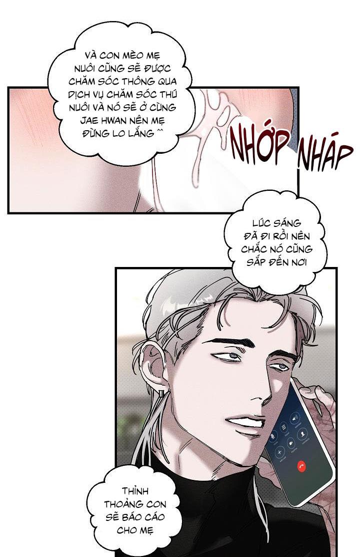 Đọc truyện Lãng mạn một chiều - Chapter 13