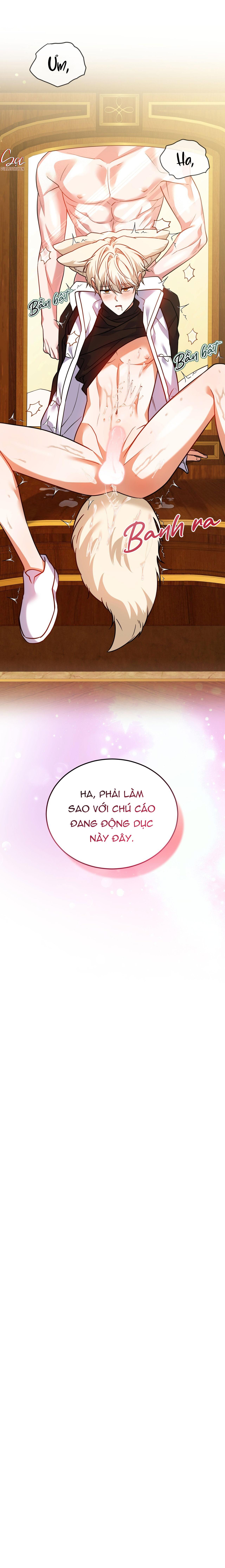Đọc truyện NƯỚC UỐNG TÌNH YÊU CỦA CÁO PLIN - Chapter 34