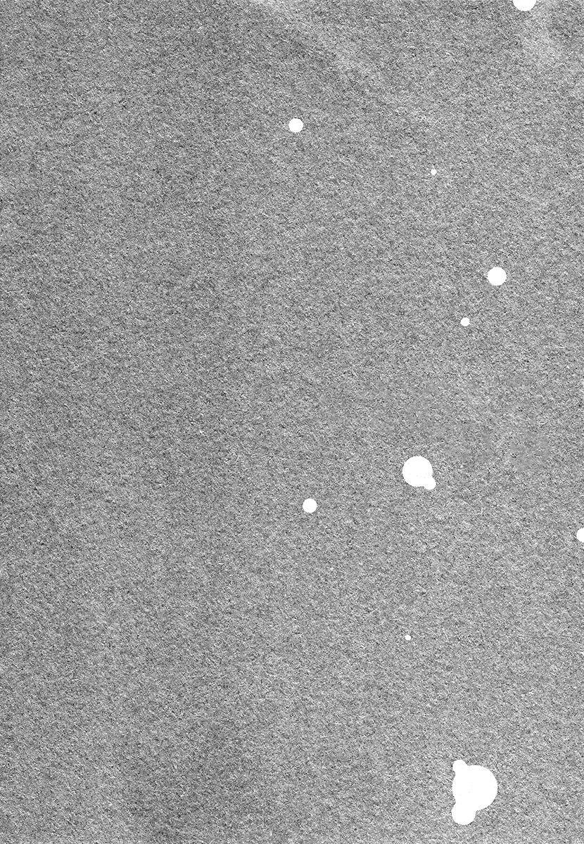 Đọc truyện Shichakushitsu no Midara na Shinshi - Chapter 4