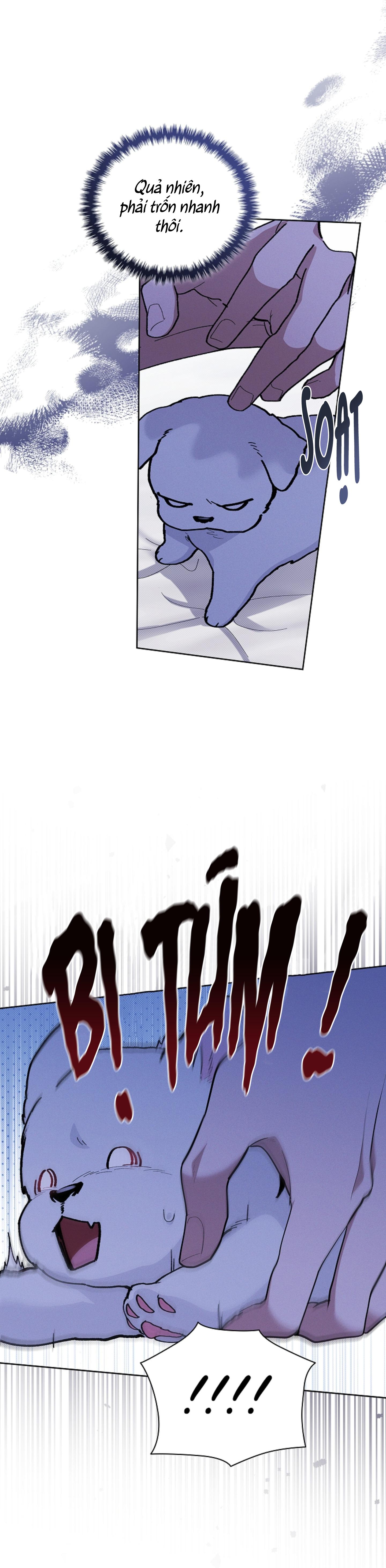 Đọc truyện ĐỪNG ĐỤNG VÀO BÉ CÚN - Chapter 7