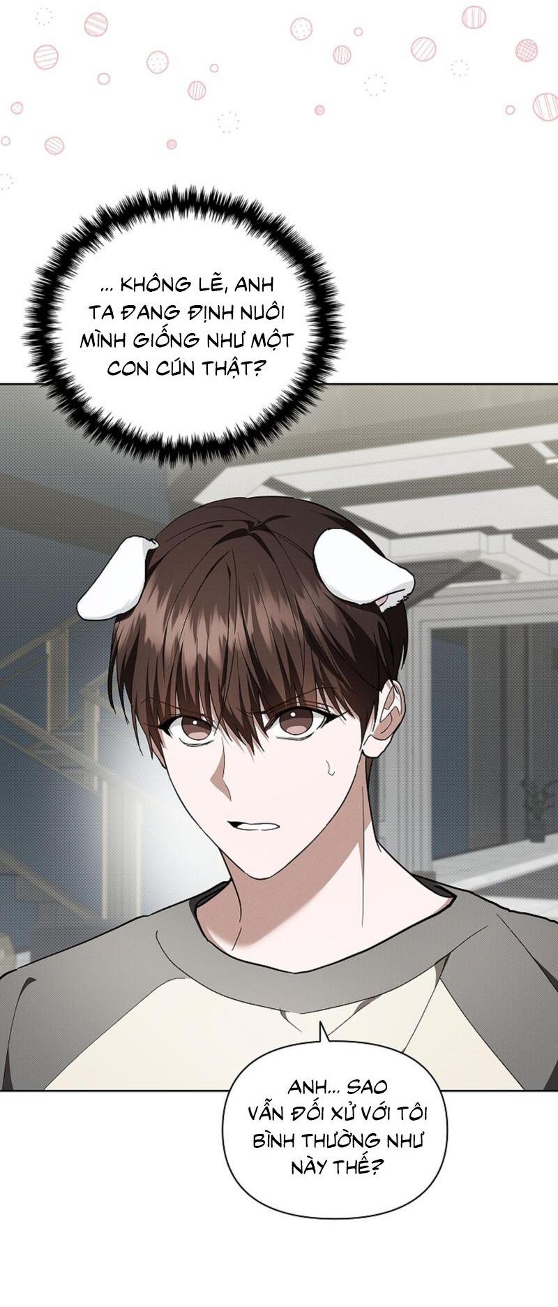 Đọc truyện ĐỪNG ĐỘNG VÀO CÚN CON! - Chapter 17