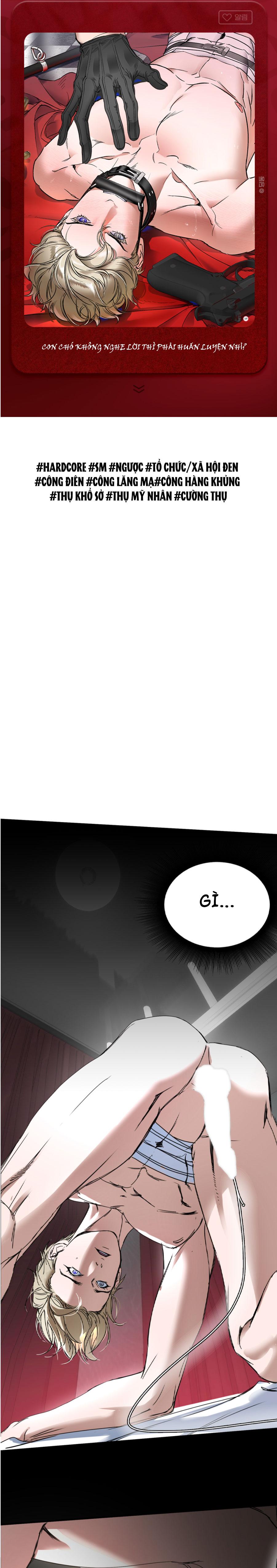 Đọc truyện SỰ TRÓI BUỘC CỦA YAN - Chapter 0