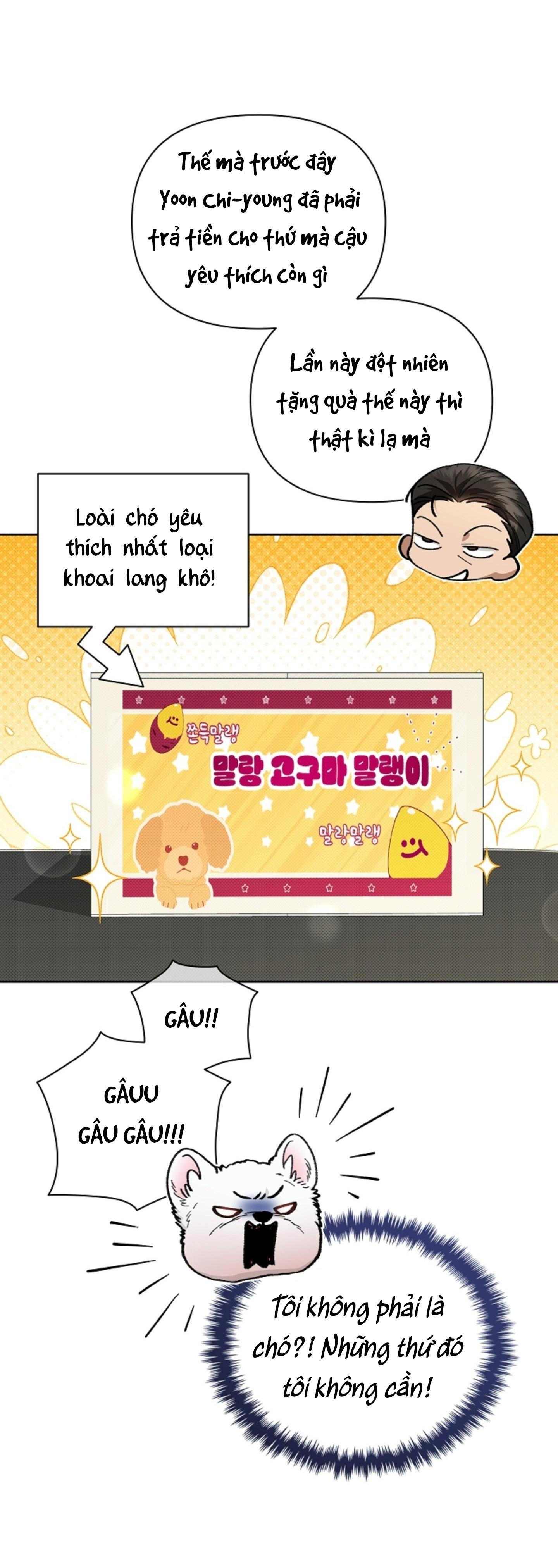 Đọc truyện ĐỪNG ĐỤNG VÀO BÉ CÚN - Chapter 2