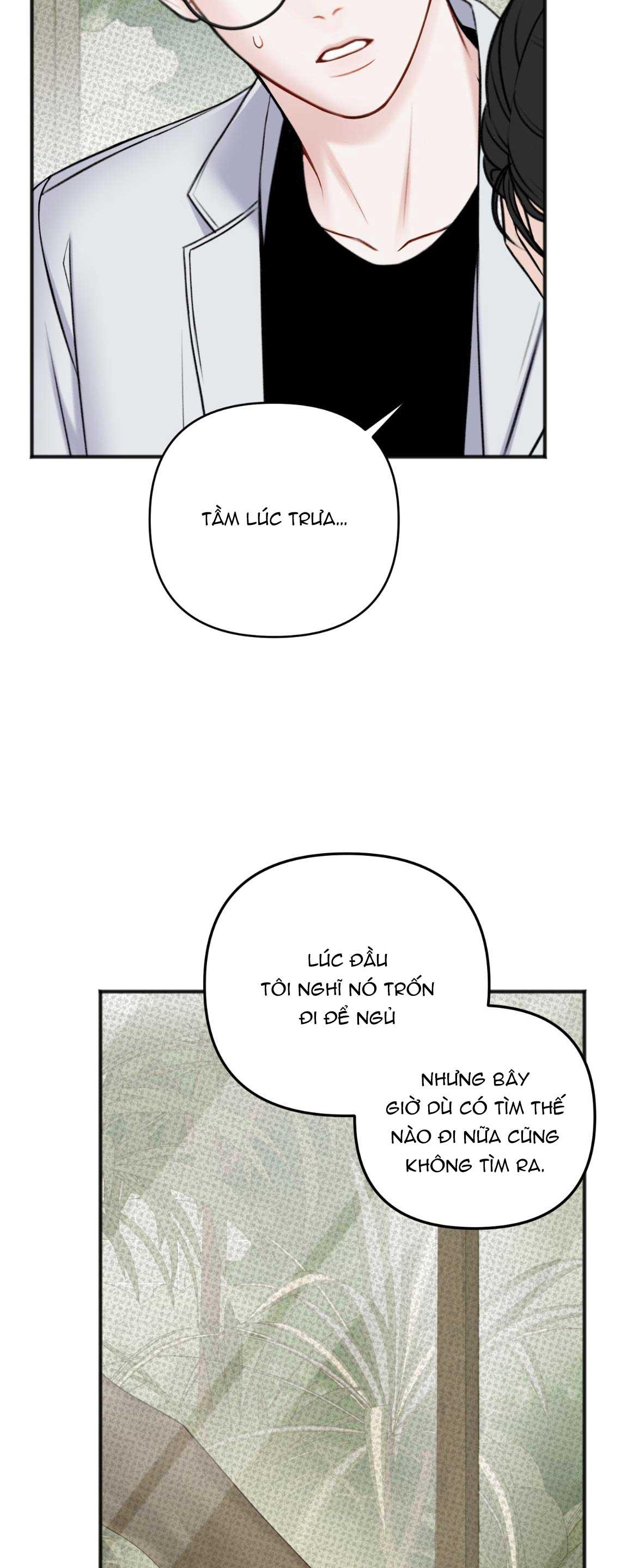 Đọc truyện DỰ BÁO MƯA RÀO - Chapter 1