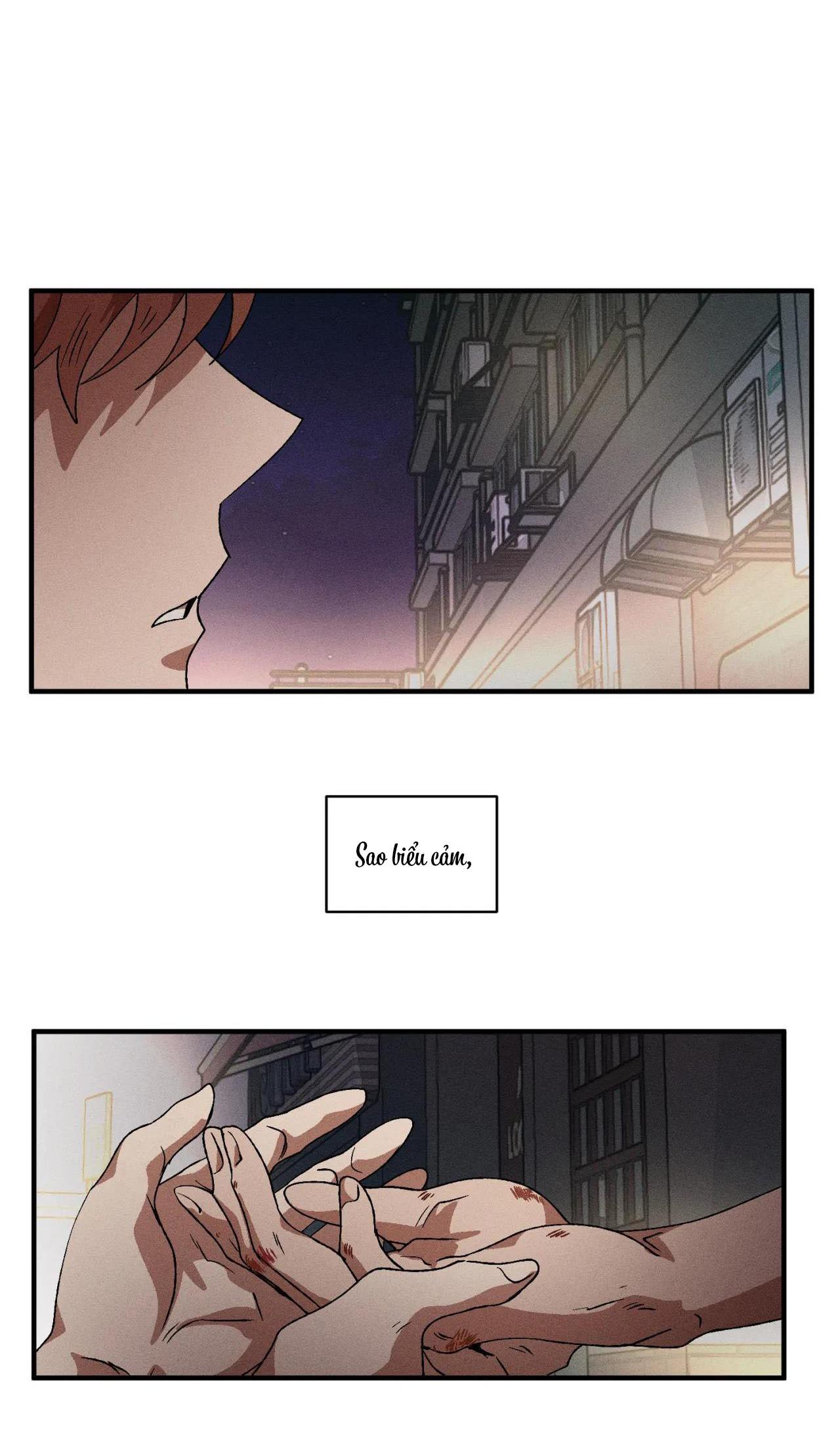 Đọc truyện  Bẫy Đôi Ngọt Ngào - Chapter 56