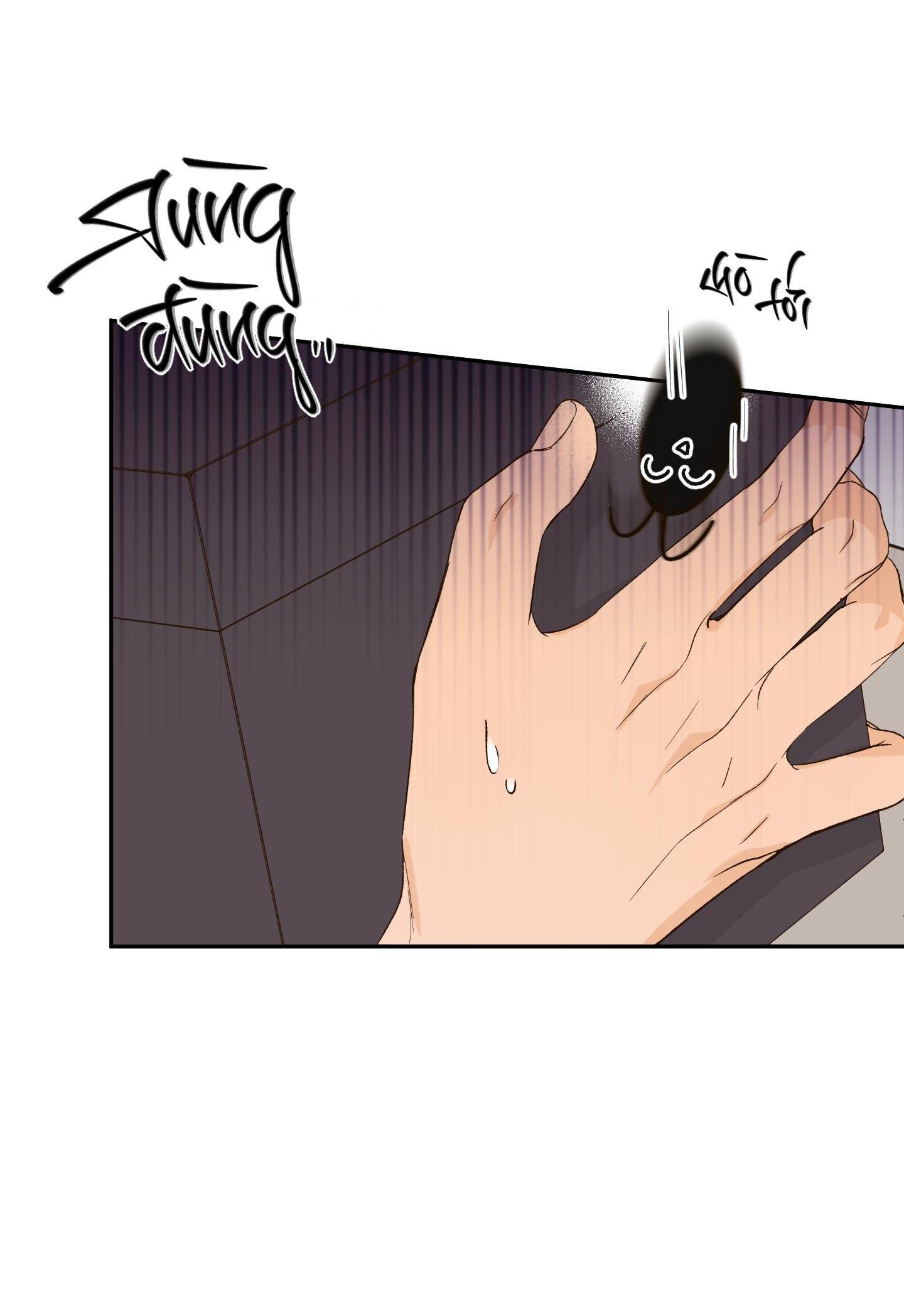 Đọc truyện Ngọn Gió Dịu Dàng - Chapter 7