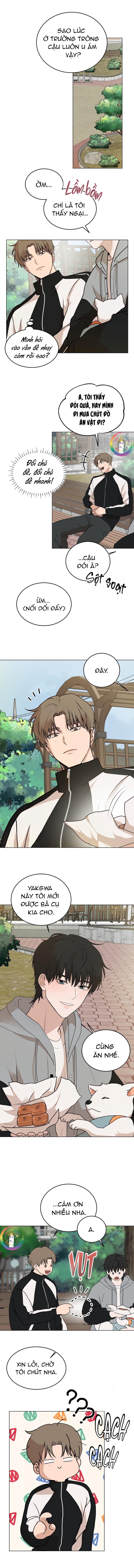 Đọc truyện (END) Lời Tán Tỉnh Ngọt Tựa Bánh Bích Quy - Chapter 7