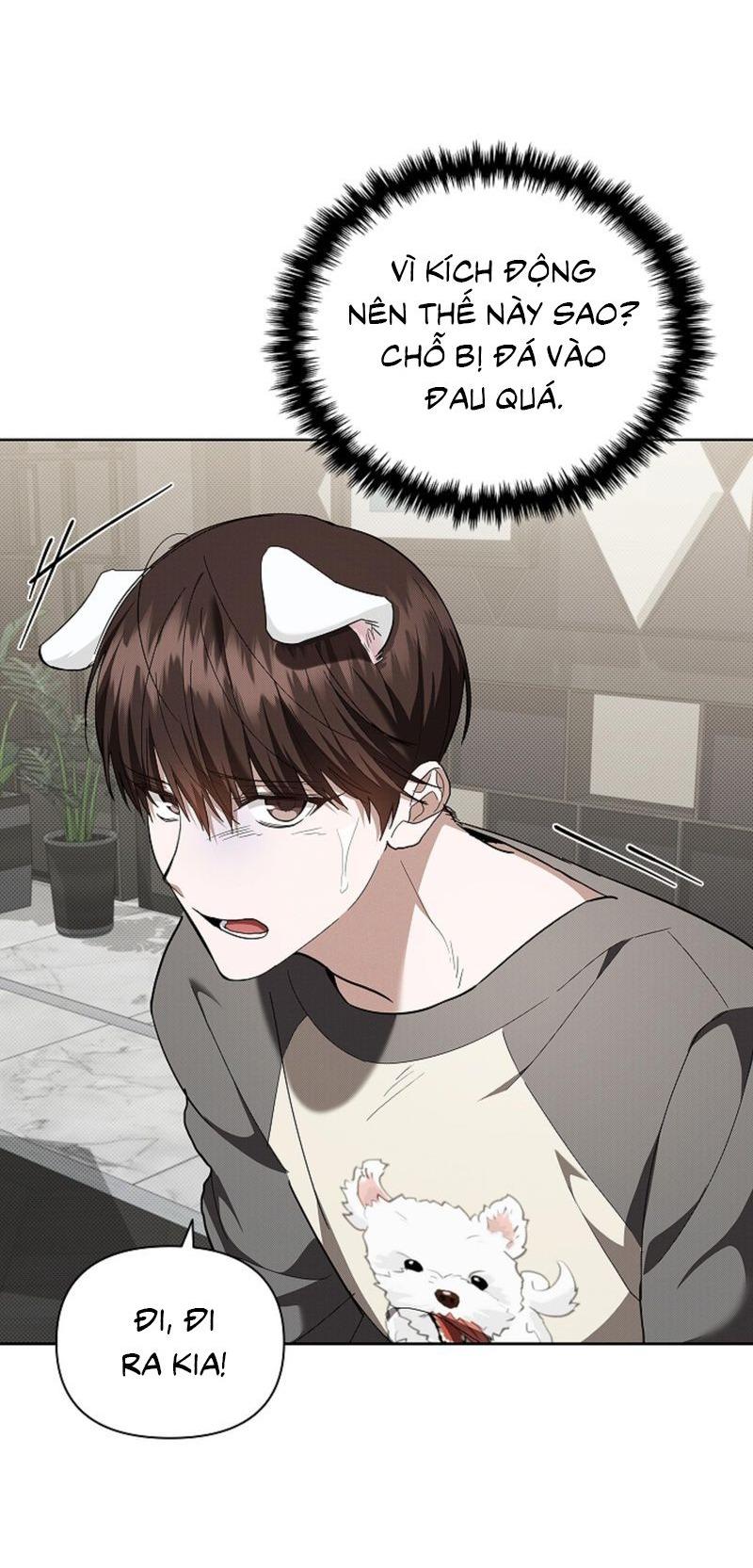 Đọc truyện ĐỪNG ĐỘNG VÀO CÚN CON! - Chapter 17