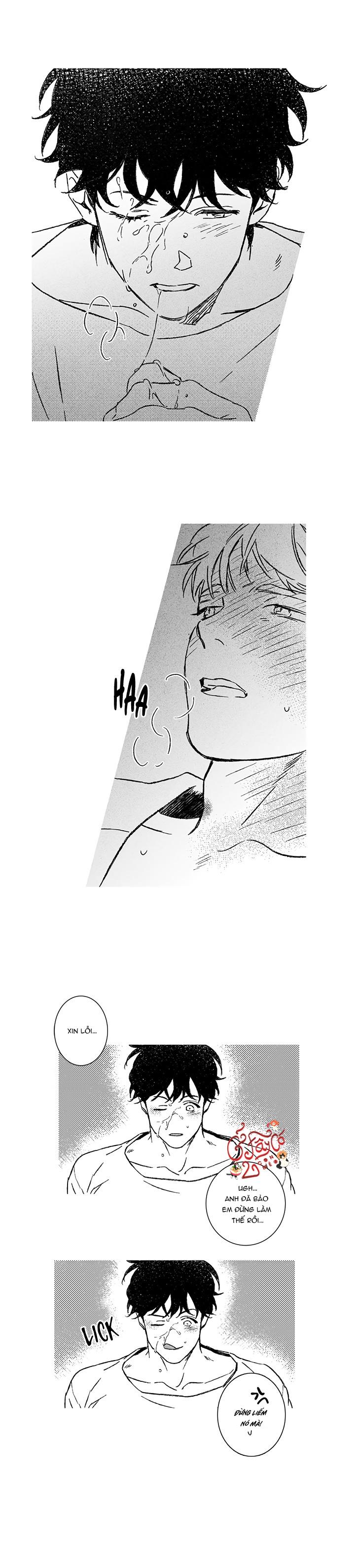 Đọc truyện Xin Hãy Yêu Tôi - Chapter 8