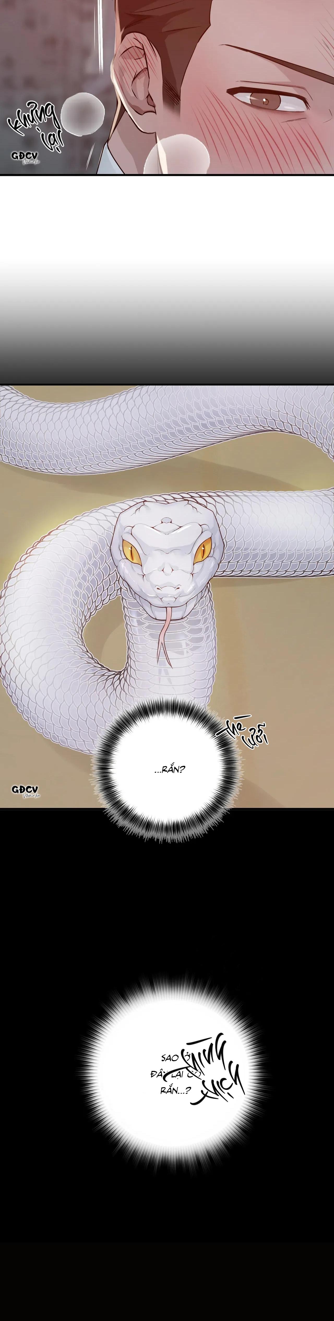 Đọc truyện CỨU TINH CỦA RẮN - Chapter 1