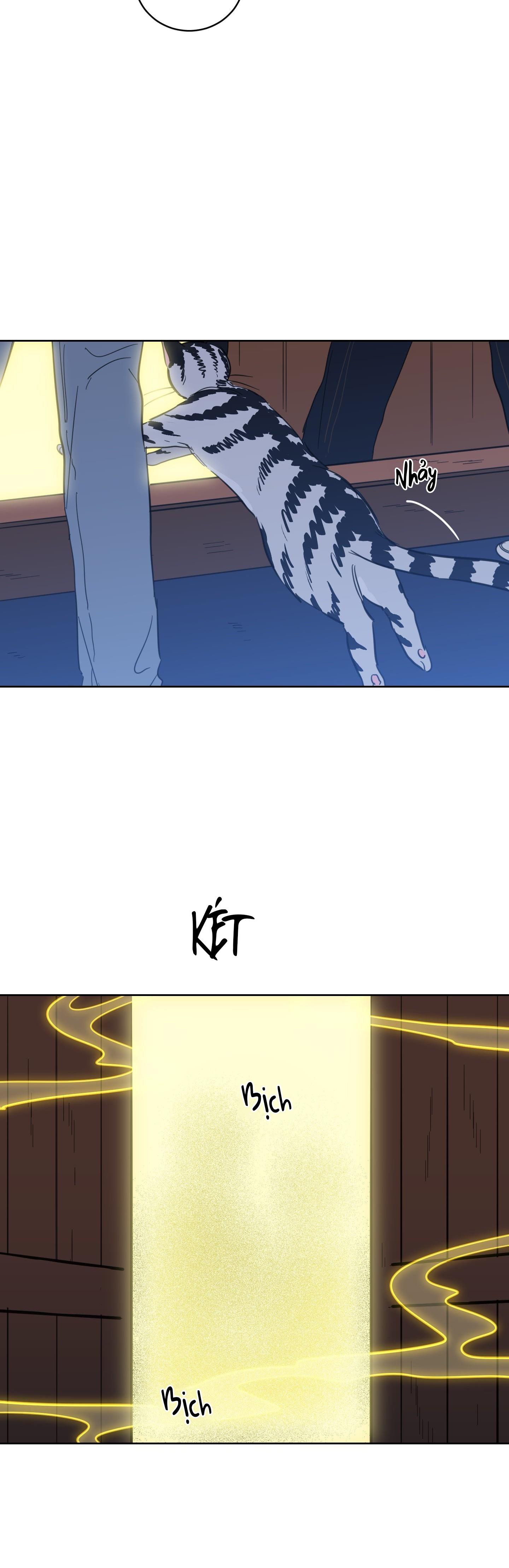 Đọc truyện Mẹo Thuần Hóa Hổ - Chapter 104