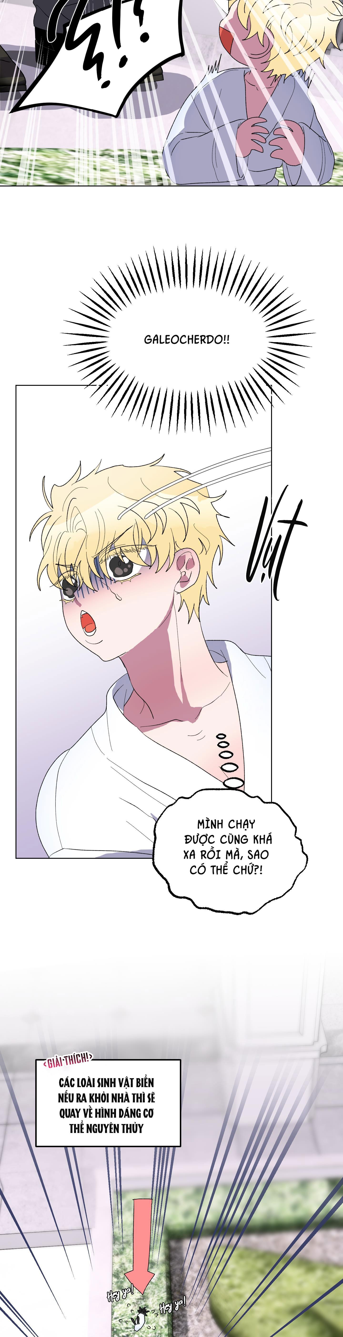 Đọc truyện CÁ MẬP VÀ CÔ DÂU THỎ - Chapter 14