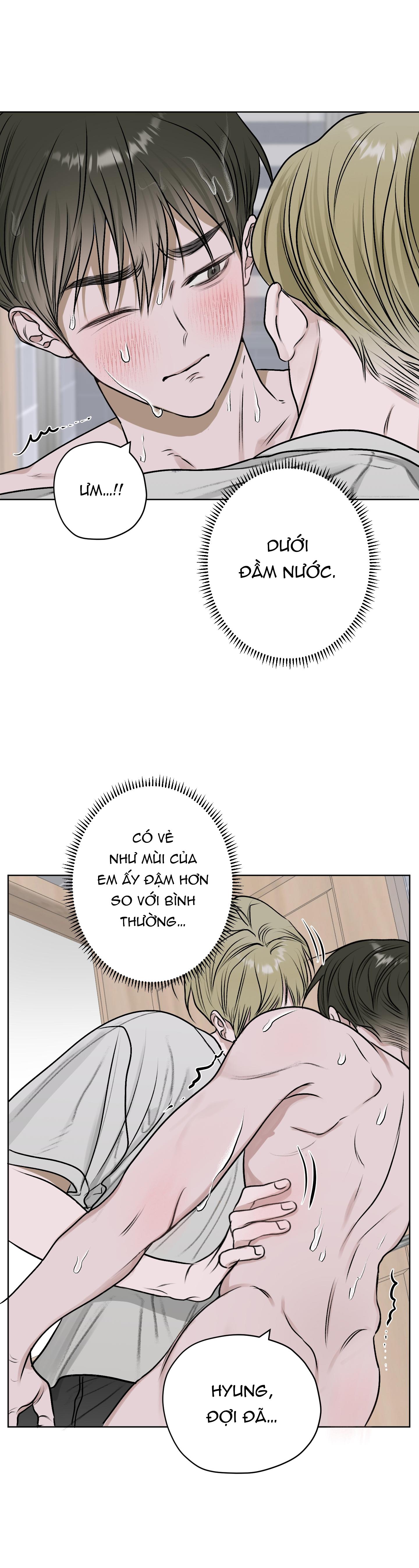 Đọc truyện  Đầm Hoa Sen - Chapter 12