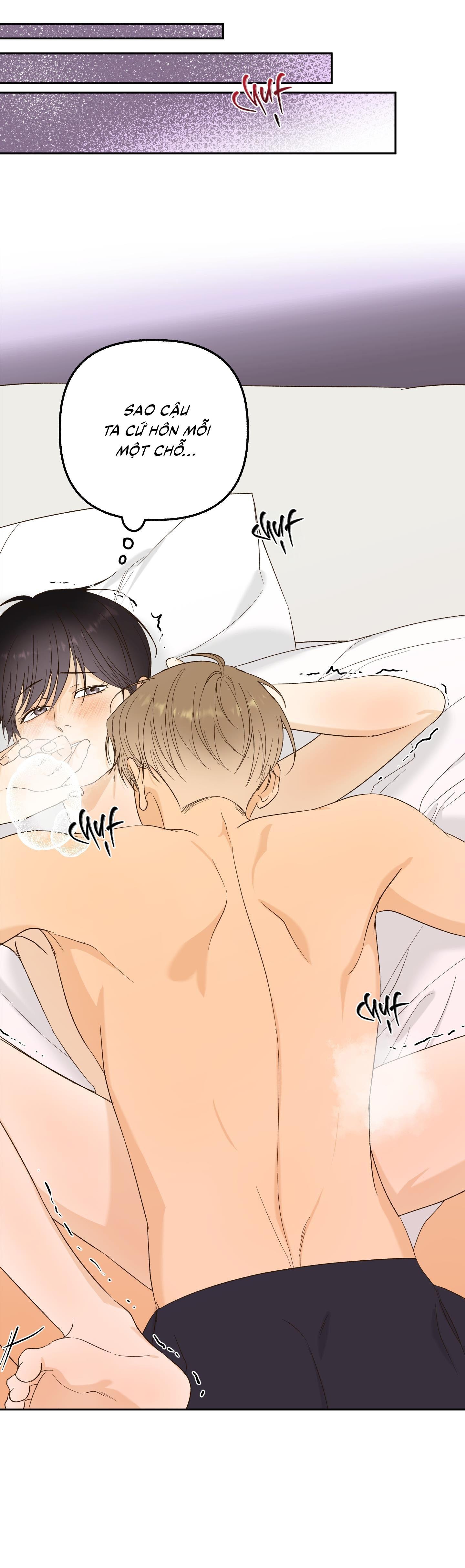 Đọc truyện Ngọn Gió Dịu Dàng - Chapter 8