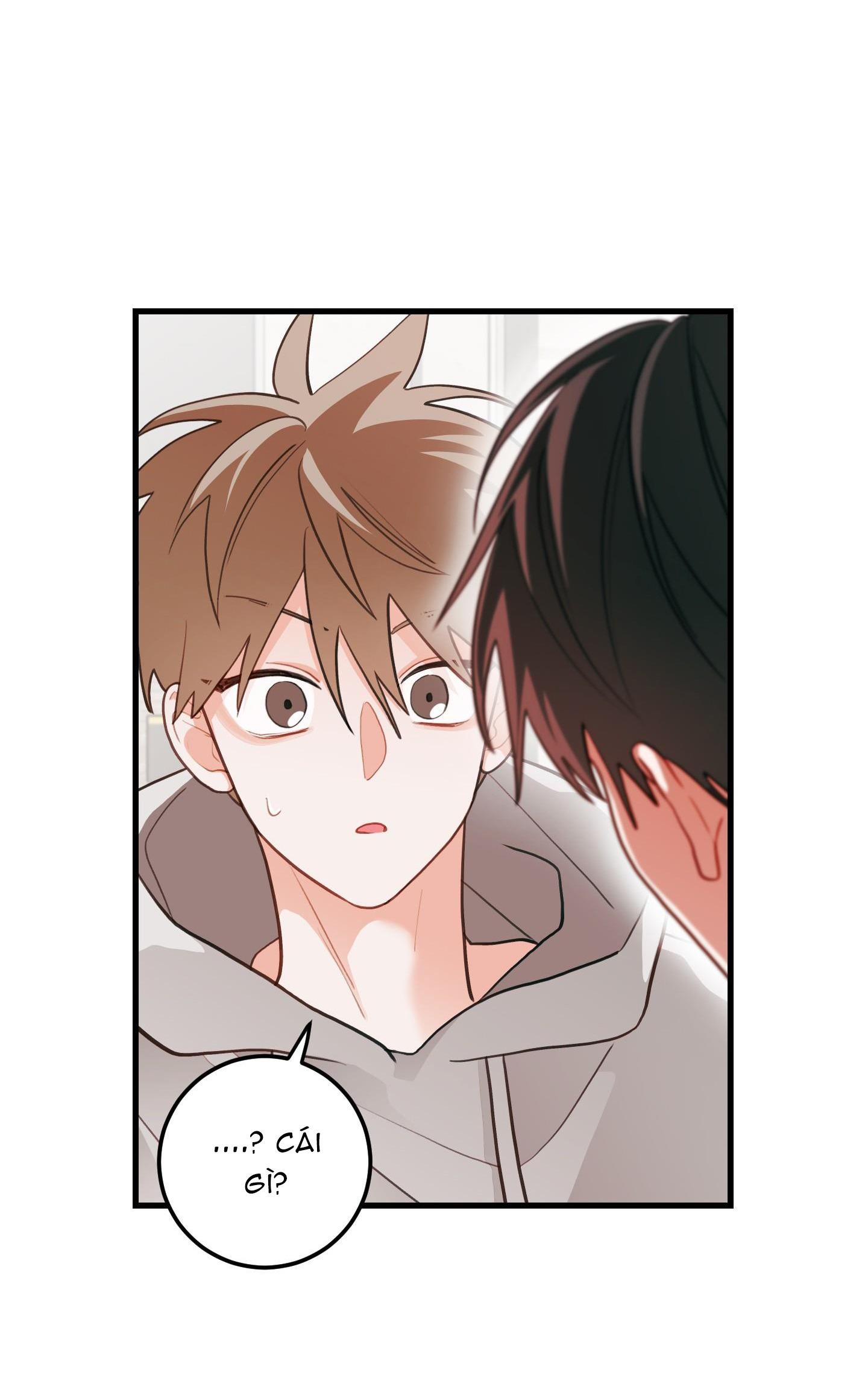 Đọc truyện CHUYỆN TÌNH HOA LÊ NỞ - Chapter 41