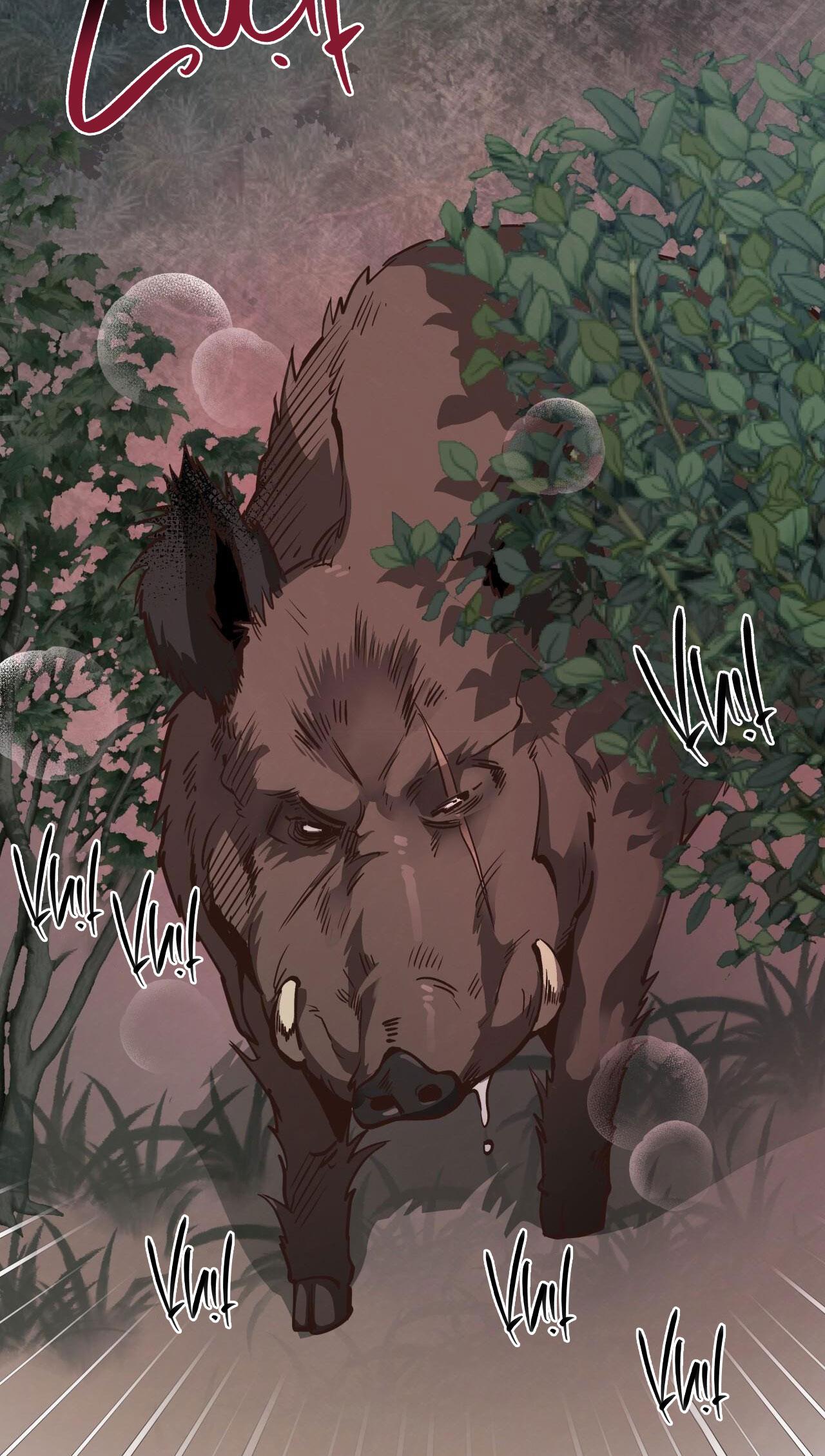 Đọc truyện HONEY BEAR - Chapter 55