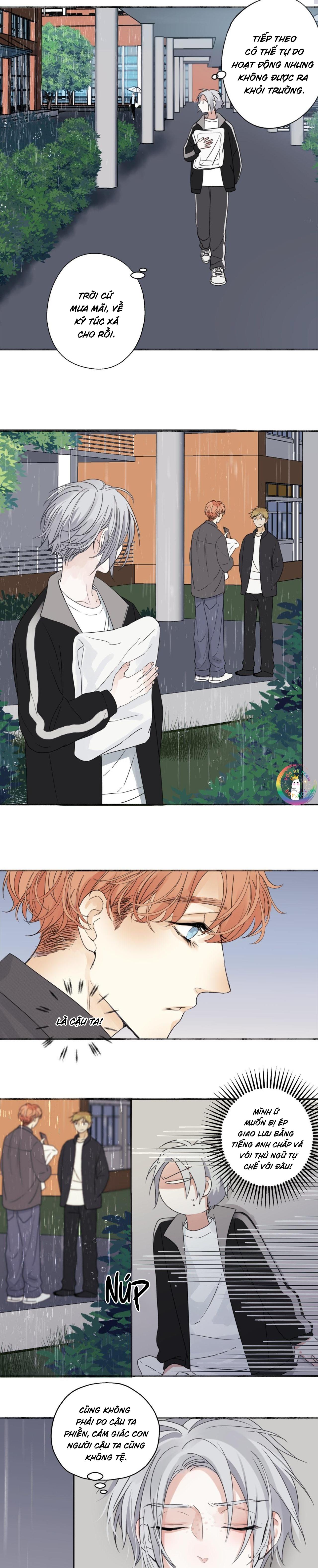 Đọc truyện Dương Sinh Tiểu Tuyết (DROP) - Chapter 21