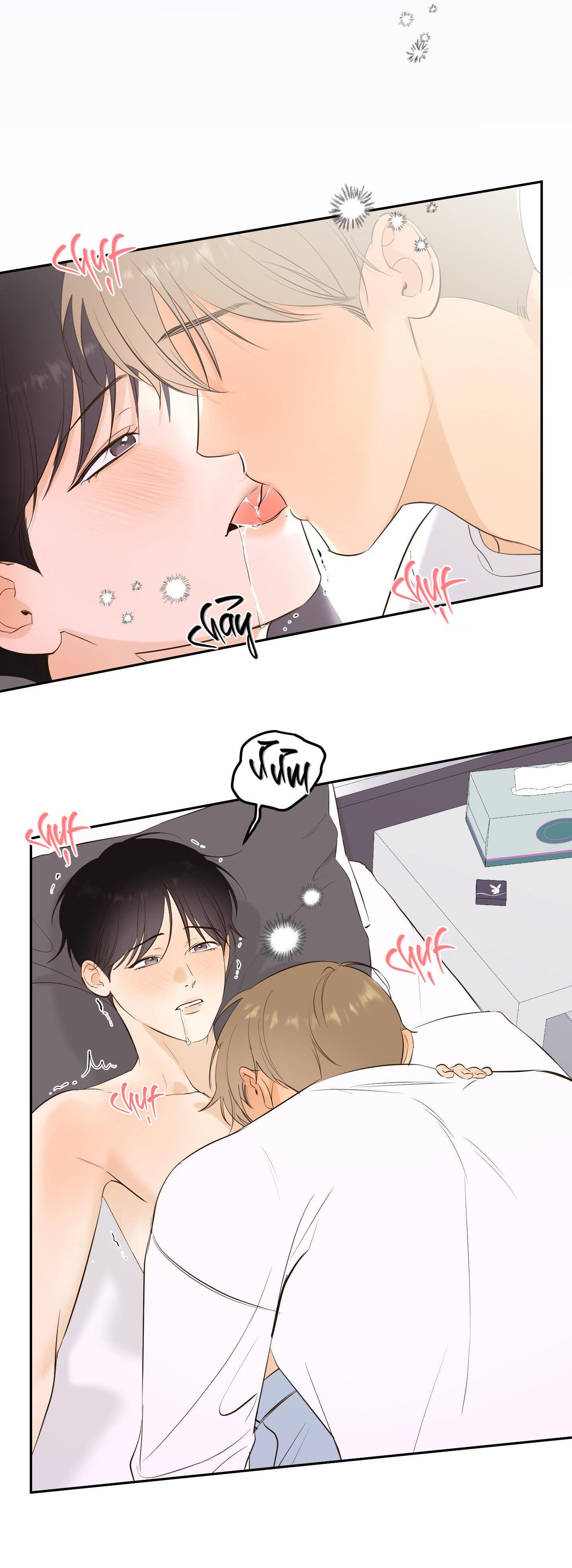 Đọc truyện  Ngọn Gió Dịu Dàng - Chapter 5