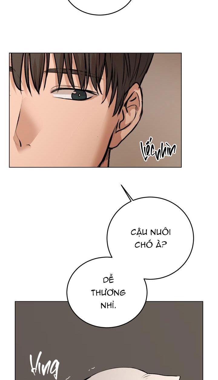 Đọc truyện BÁNH QUY TÌNH YÊU TAN CHẢY - Chapter 8