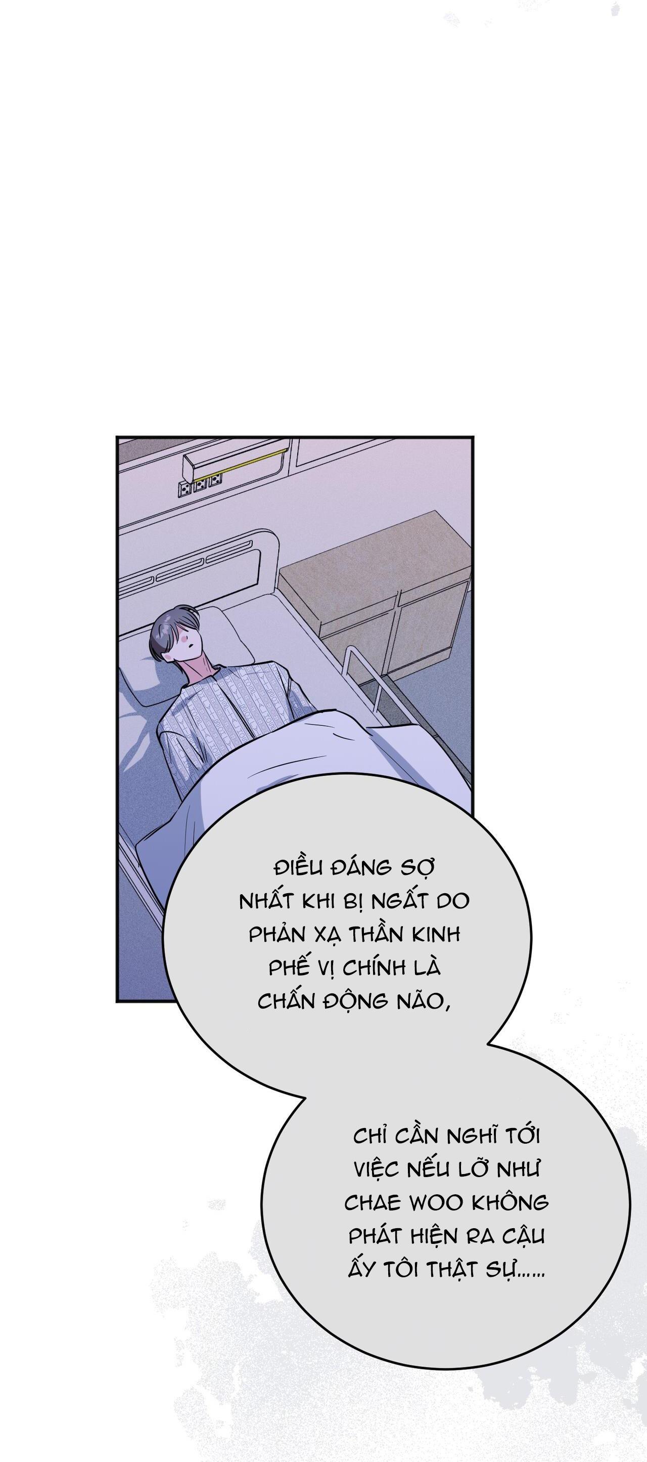 Đọc truyện CẠM BẪY ĐẠI HỌC - Chapter 84