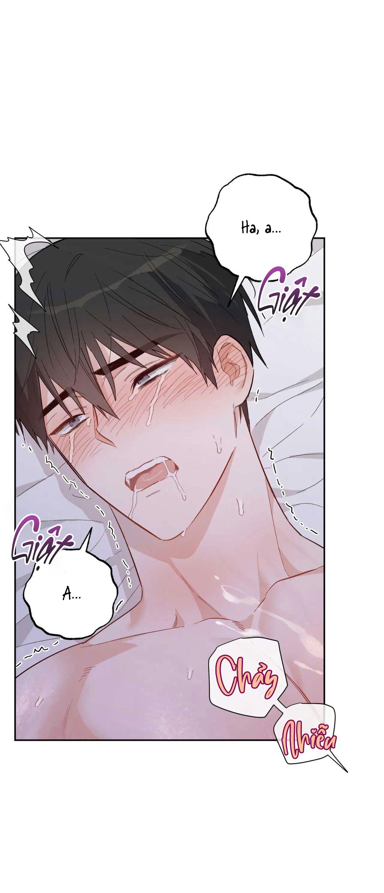 Đọc truyện VẬN MỆNH CỦA CẬU LÀ GÌ? - Chapter 3