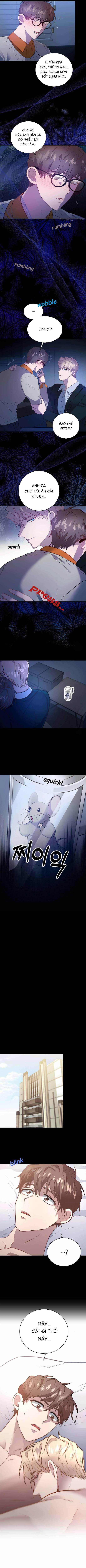 Đọc truyện Phản Diện Đều Là Những Kẻ Ngu Ngốc - Chapter 3