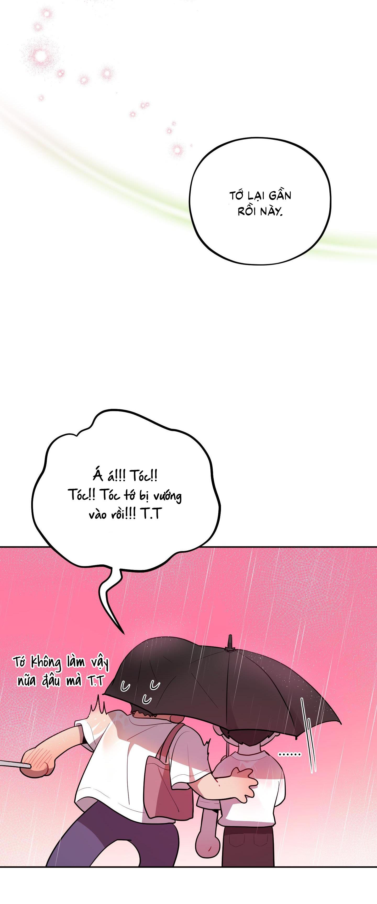 Đọc truyện  Chuyện Rằng Tôi Yêu Cậu - Chapter 15
