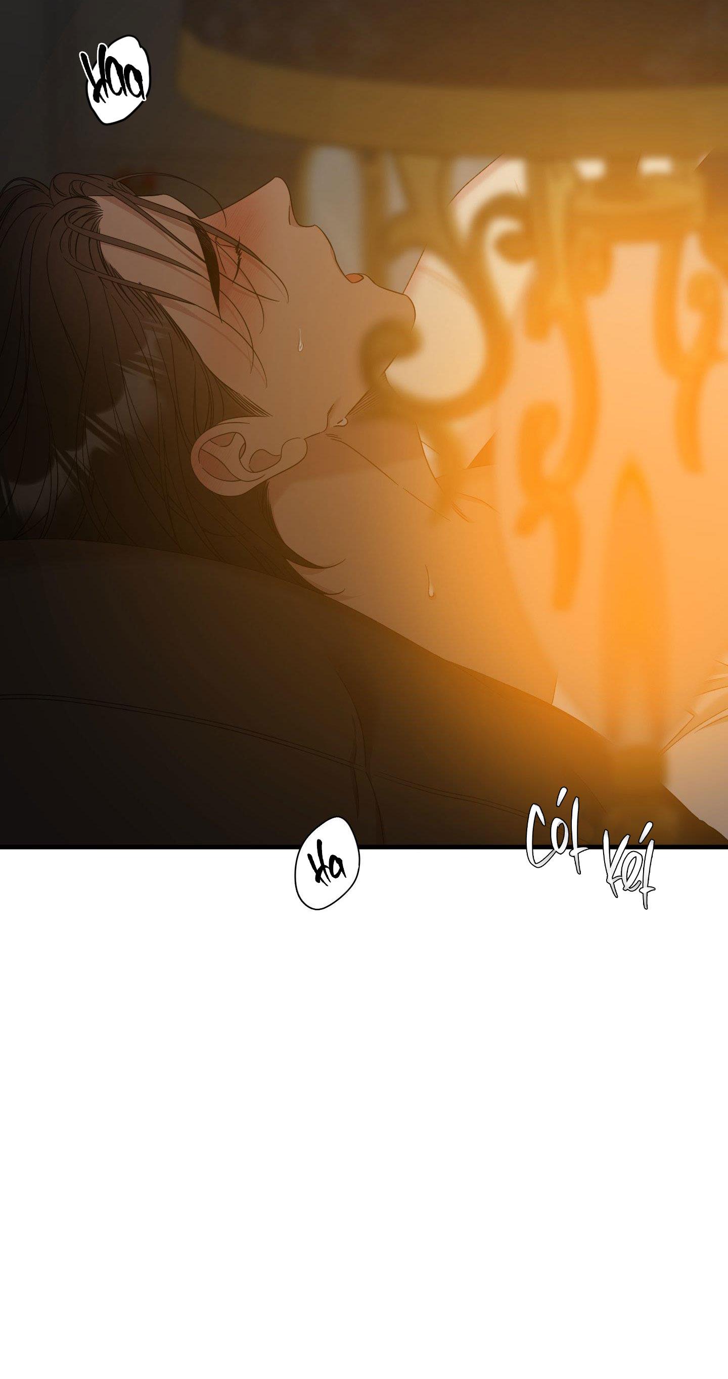 Đọc truyện SMYRNA VÀ CAPRI - Chapter 69