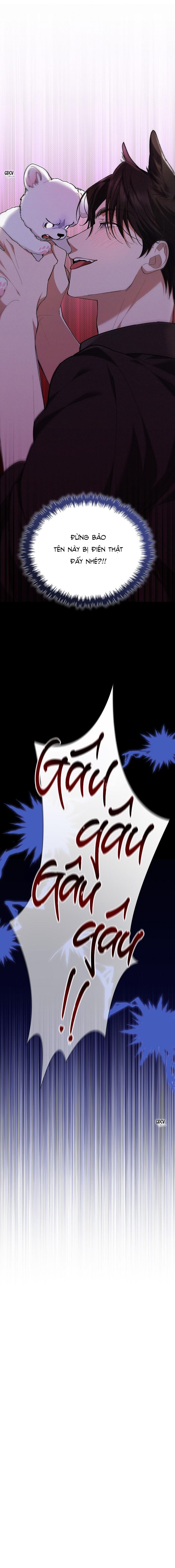 Đọc truyện ĐỪNG CHẠM VÀO CÚN CON CỦA TÔI - Chapter 1