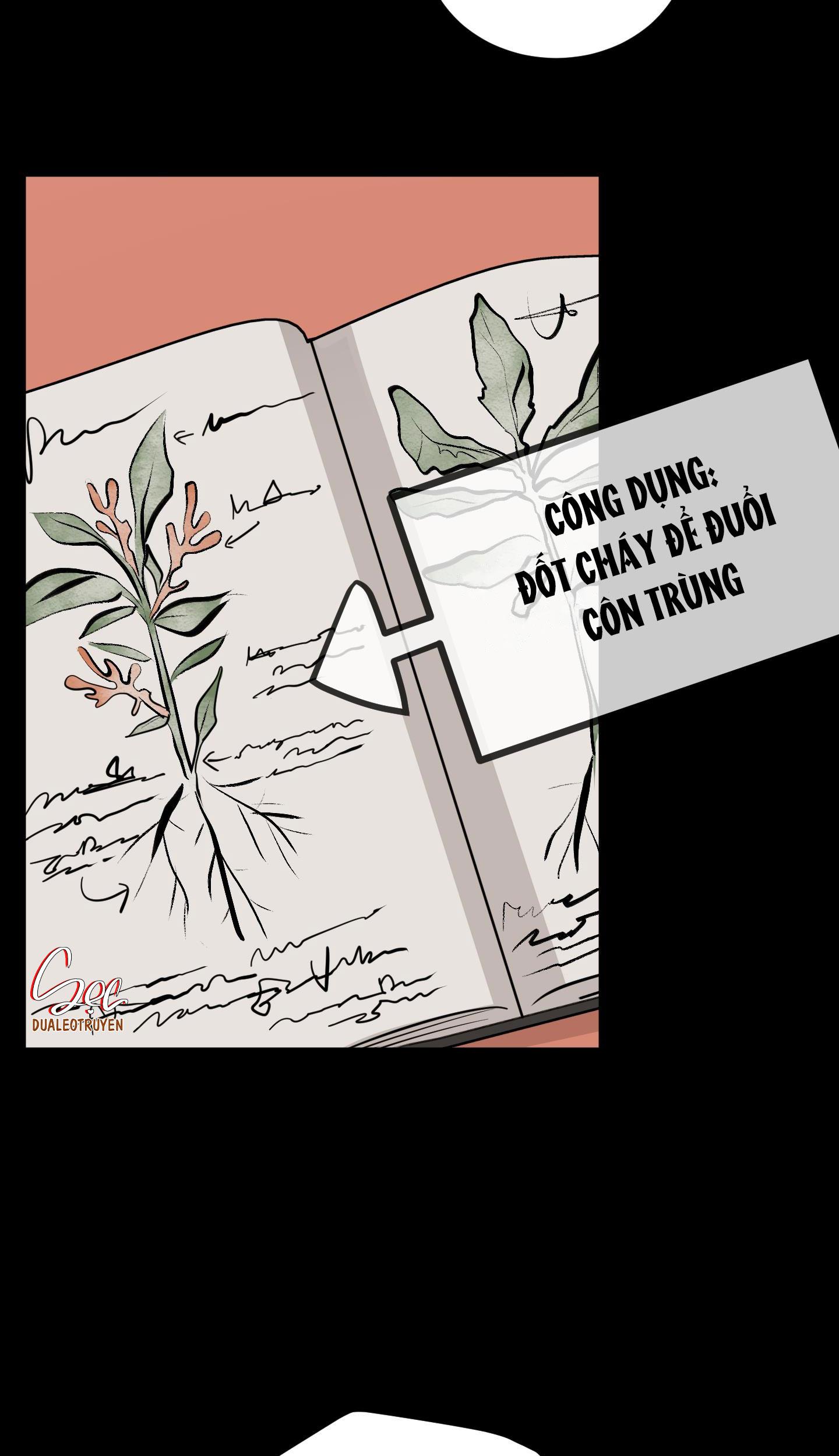 Đọc truyện ĐÓA HOA KHÔNG TÊN - Chapter 2