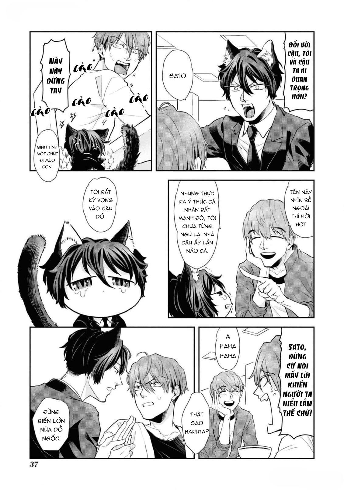 Đọc truyện Chú mèo đẹp trai muốn được Haruta nuôi dưỡng - Chapter 2