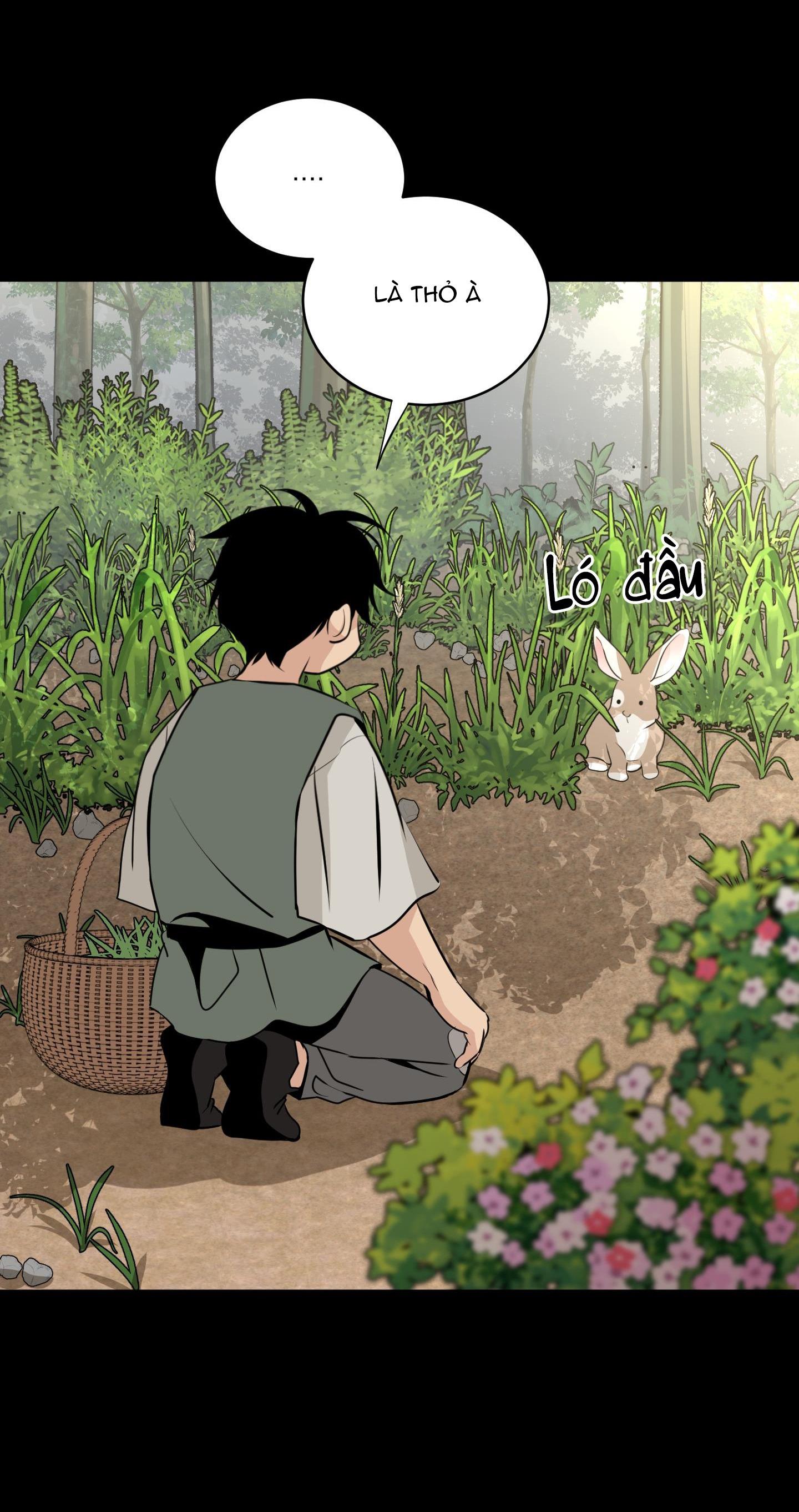 Đọc truyện ĐÓA HOA KHÔNG TÊN - Chapter 14