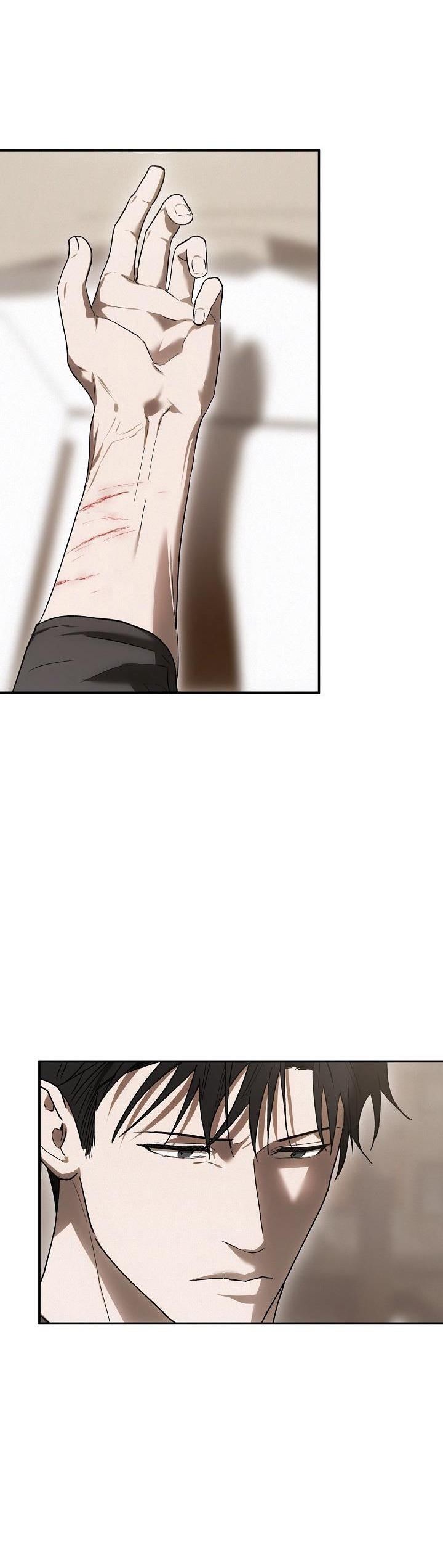 Đọc truyện BẢO VẬT - Chapter 5