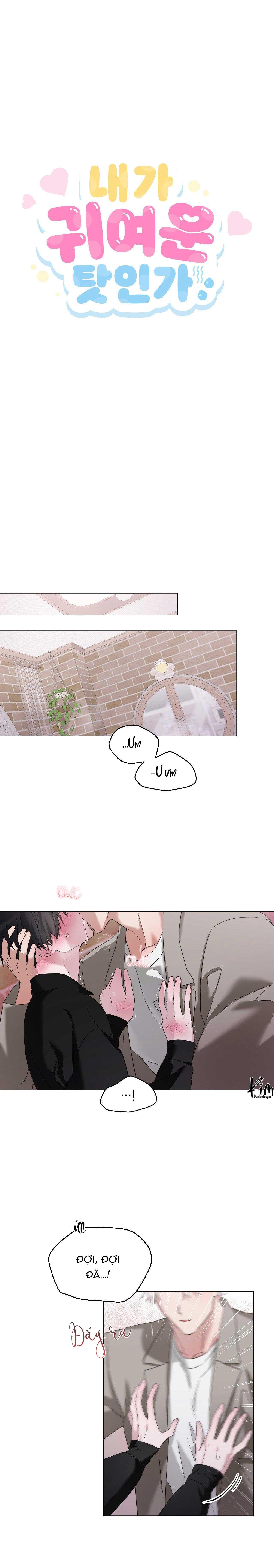 Đọc truyện LỖI TẠI DỄ THƯƠNG - Chapter 15