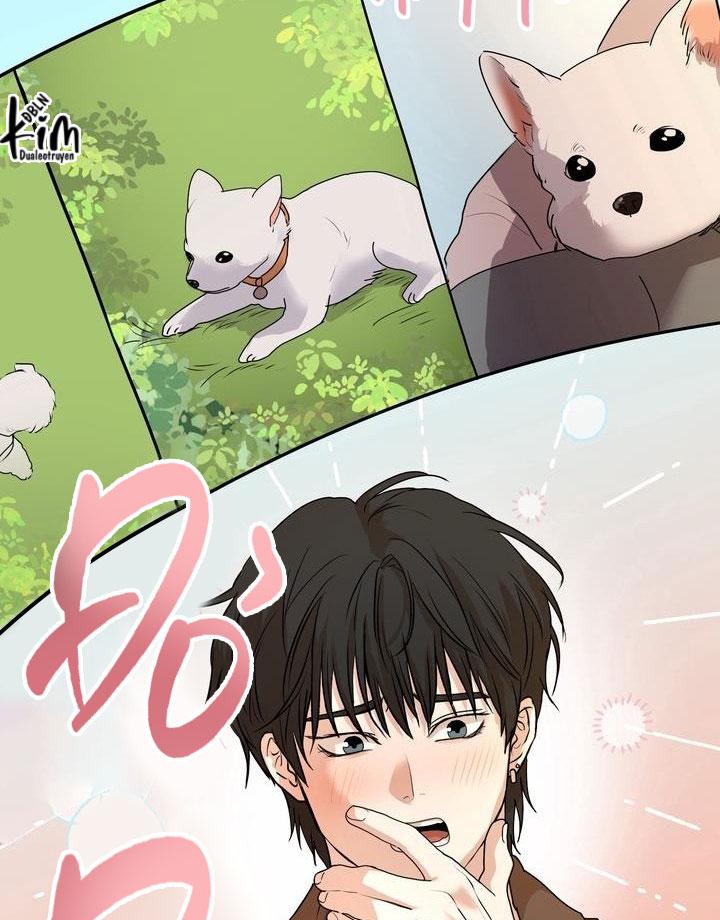 Đọc truyện BÁNH QUY TÌNH YÊU TAN CHẢY - Chapter 5