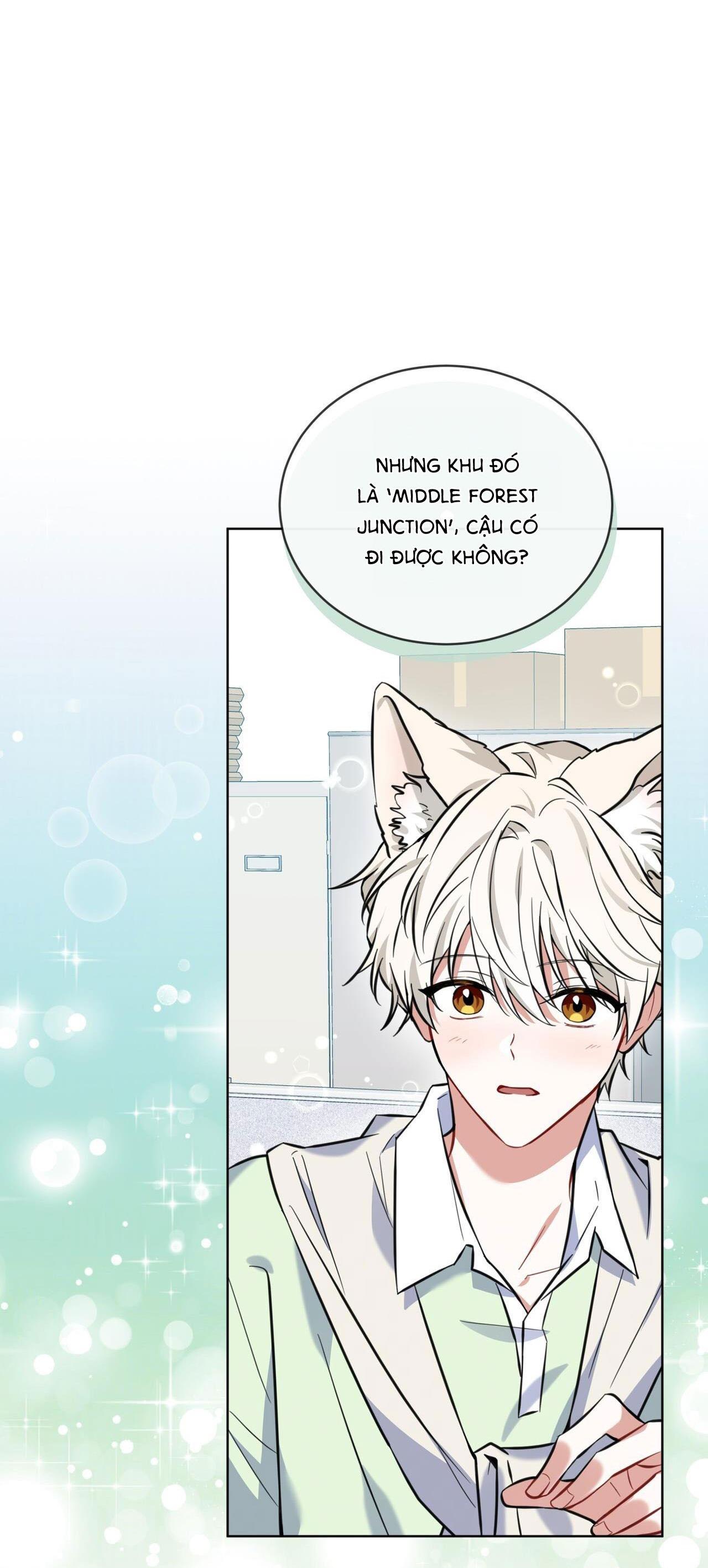 Đọc truyện |DROP| Tiệm đồ uống của cáo Flynn - Chapter 1